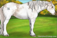 Horse Color:White Spotted Silver Brown Dun Rabicano 