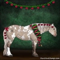 Horse Color:White Spotted Silver Grullo