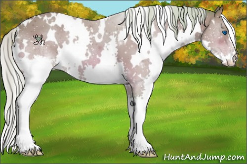 Horse Color:ERROR: UNKNOWN ANOMALY