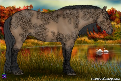 Horse Color:Bay Ice Dun