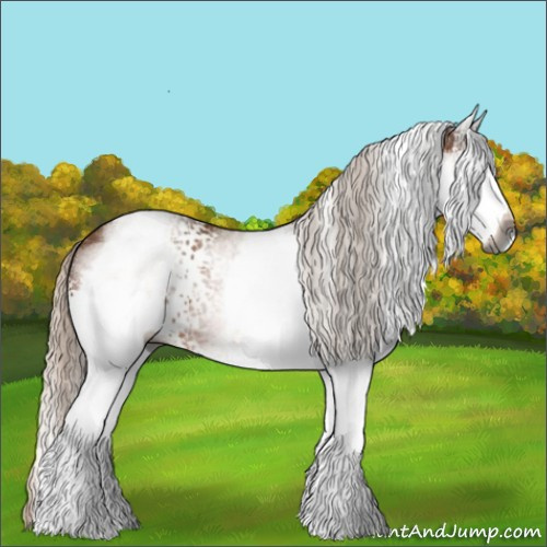 Horse Color:Gray White Spotted Silver Bay
