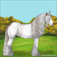 Horse Color:Gray White Spotted Silver Bay 