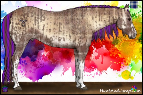 Horse Color:Painted Liver Chestnut  and Plaid  Red Onyx 
