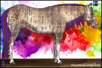 Horse Color:Painted Liver Chestnut  and Plaid  Red Onyx 