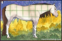Horse Color:Plaid  Amber Champagne Onyx 