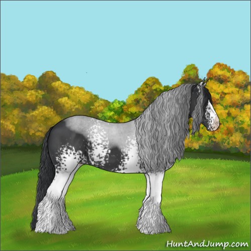 Horse Color:White Spotted Black 