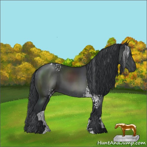 Horse Color:White Spotted Black Sabino 