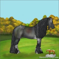 Horse Color:White Spotted Black Sabino