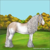 Horse Color:White Spotted Silver Grullo Pearl Sabino Rabicano 
