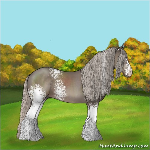 Horse Color:White Spotted Silver Black Sabino 