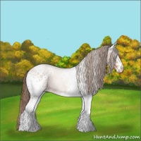 Horse Color:White Spotted Brown Pearl 