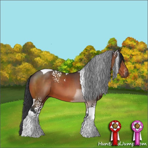 Horse Color:White Spotted Brown Tobiano