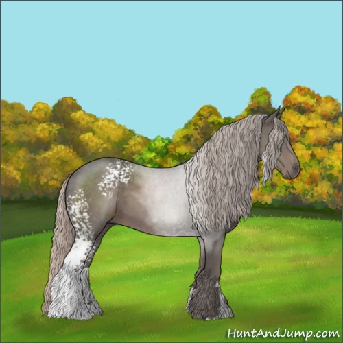 Horse Color:White Spotted Silver Black