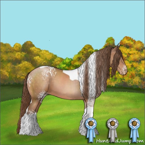 Horse Color:White Spotted Brown Pearl Tobiano