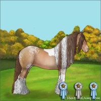 Horse Color:White Spotted Brown Pearl Tobiano
