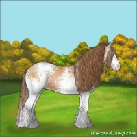 Horse Color:White Spotted Brown Pearl 