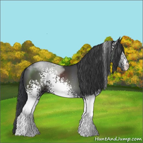 Horse Color:White Spotted Black Sabino 