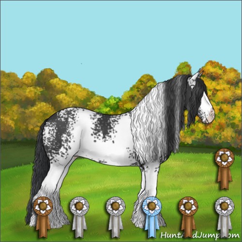 Horse Color:White Spotted Black