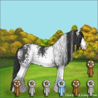Horse Color:White Spotted Black 