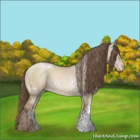 Horse Color:White Spotted Grullo Pearl 