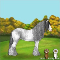 Horse Color:White Spotted Black Sabino