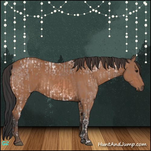 Horse Color:Bay Ice Roan Rabicano  and Bay 