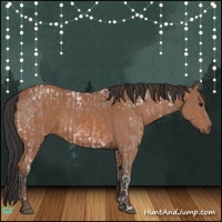 Horse Color:Bay Ice Roan Rabicano  and Bay 