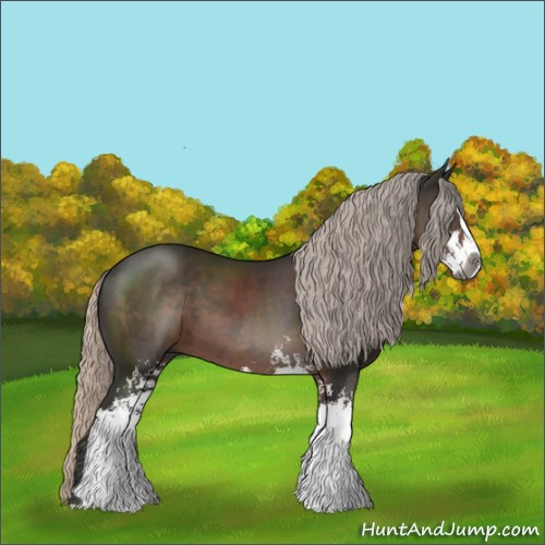 Horse Color:Gray Silver Black Sabino 