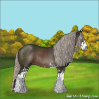 Horse Color:Gray Silver Black Sabino