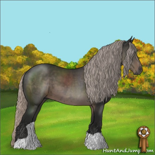 Horse Color:Gray Silver Black 