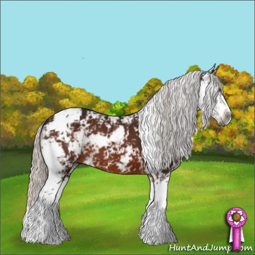 Horse Color:Gray Silver Brown Sabino 