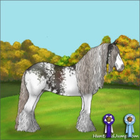 Horse Color:Gray White Spotted Silver Black Sabino 