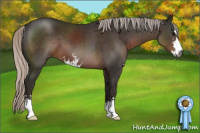 Horse Color:Gray Silver Black Sabino 