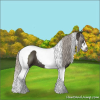 Horse Color:Gray Silver Black Sabino Tobiano