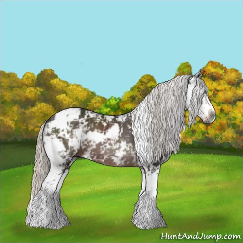 Horse Color:Gray Silver Black Sabino 