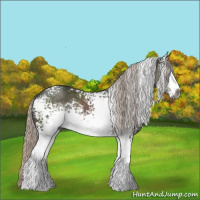 Horse Color:Gray White Spotted Silver Black Sabino 