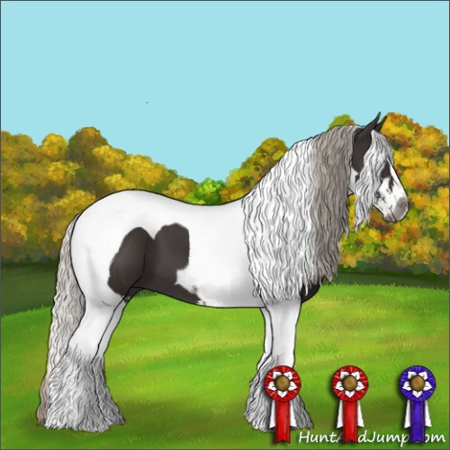 Horse Color:Gray Silver Black Sabino Tobiano 