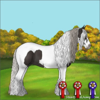 Horse Color:Gray Silver Black Sabino Tobiano