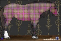 Horse Color:Plaid Brown Roan Sabino Rabicano