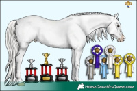 Horse Color:Silver Grullo Tobiano Varnish 