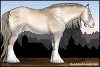 Horse Color:White Spotted Chocolate Palomino Pearl Onyx