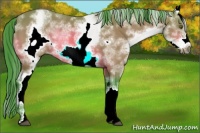 Horse Color:Watercolor White Spotted Brown Sabino Frame Rabicano 