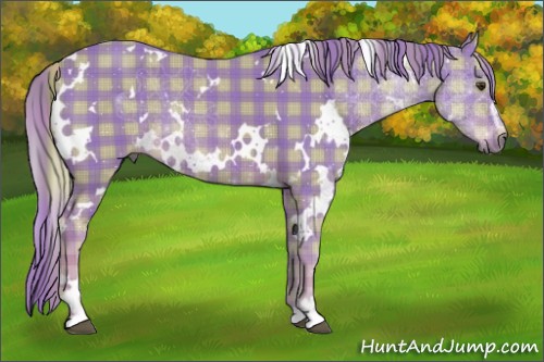 Horse Color:Watercolor Plaid White Spotted Chestnut Sabino Rabicano
