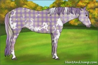 Horse Color:Watercolor Plaid White Spotted Chestnut Sabino Rabicano