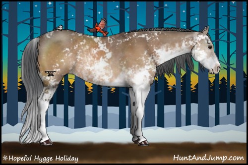 Horse Color:Brown Dun Sabino Rabicano