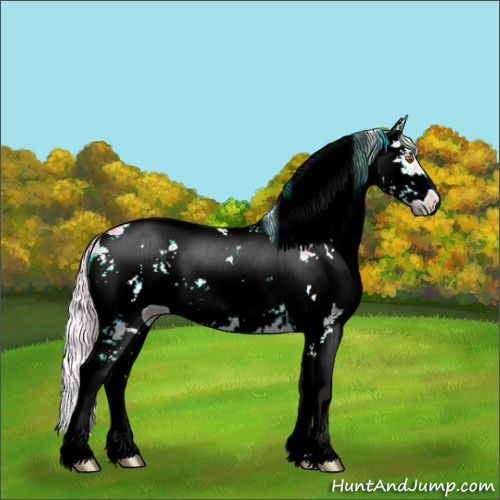 Horse Color:Watercolor Silver Blue Onyx Chinchilla Sabino