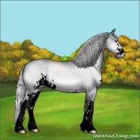 Horse Color:Silver Brown Chinchilla Sabino 