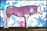 Horse Color:Watercolor Silver Brown Sabino Splash