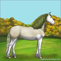 Horse Color:Watercolor Brown Pearl Dun Splash 