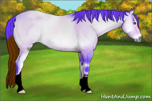 Horse Color:ERROR: UNKNOWN ANOMALY